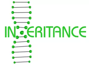 Inheritance as DNA