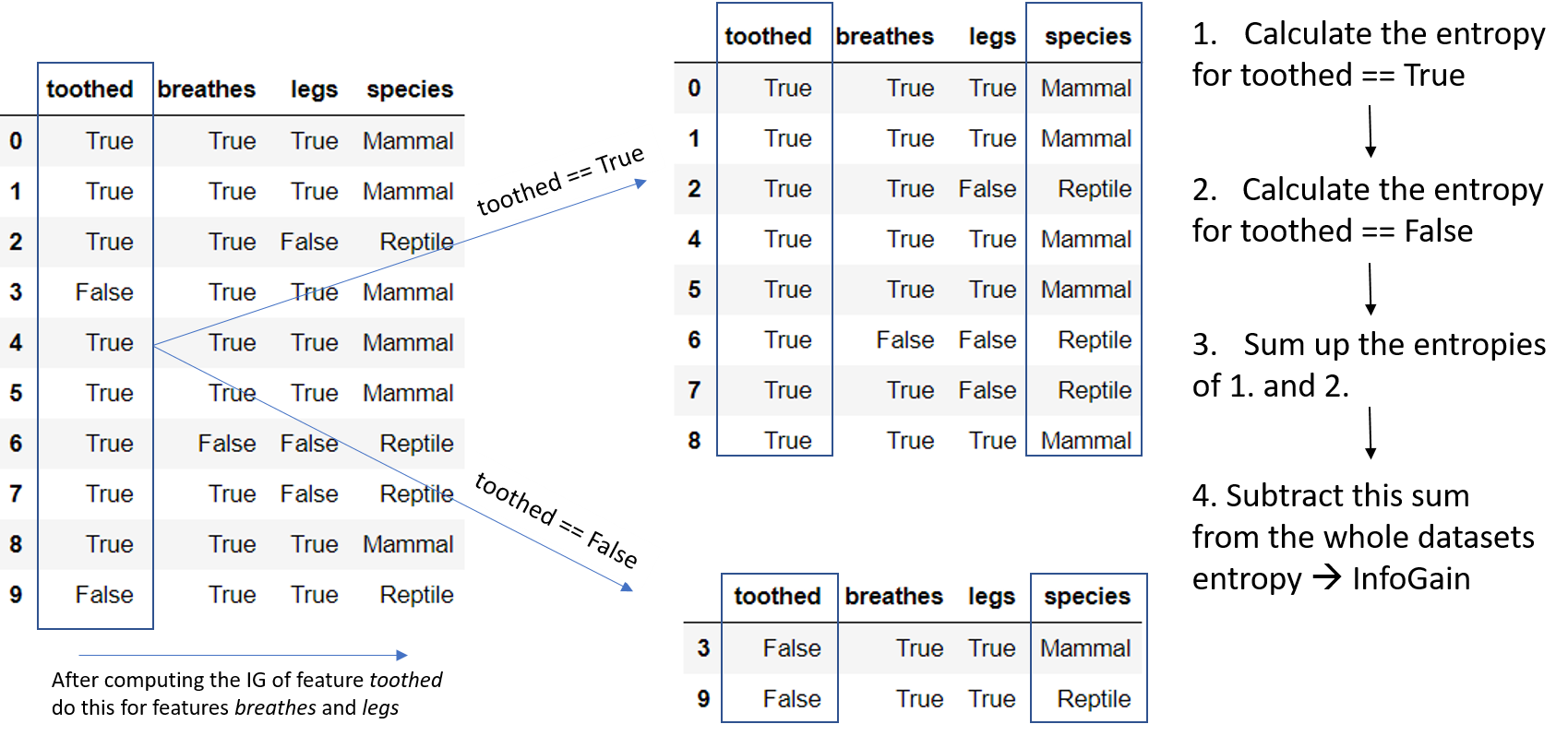 What Is Information Gain In Decision Trees