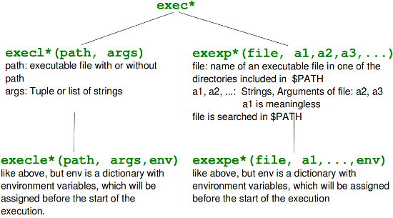 Systematics of the exec Functions