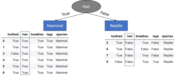 Decision Trees splitting procedure