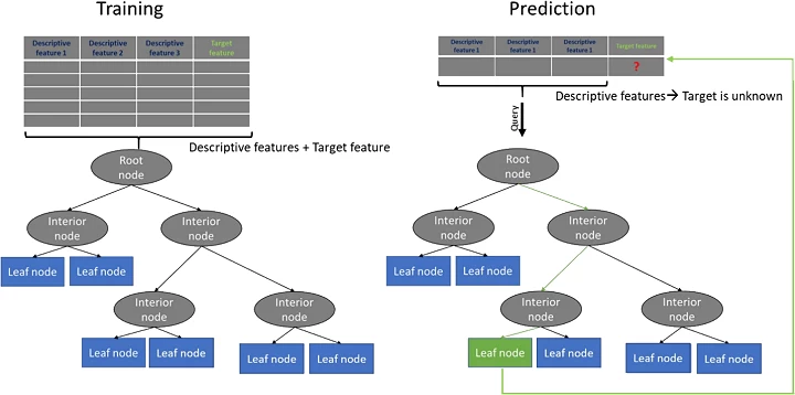 Decision tree python store tutorial