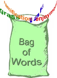 Bag of Words