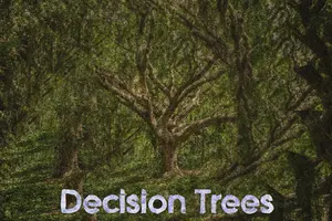 Decision Tree