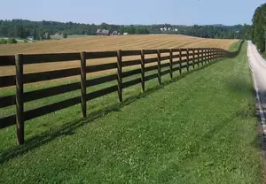 Fence as a dividing line