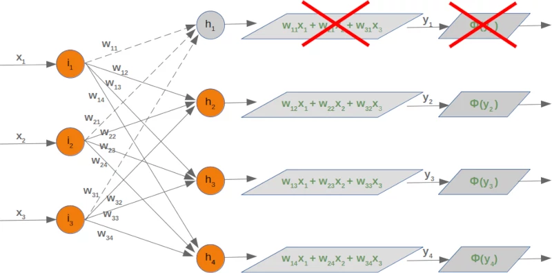 Neuronal Network with one hidden dropout node