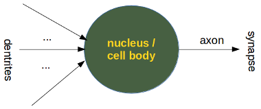 Abstract view of a Neuron both biological and artificial Abstract View of a Neuron